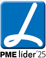 Logo PME Líder 25 Ideias Comuns